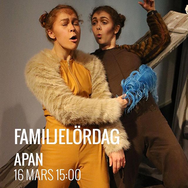 instagrambild