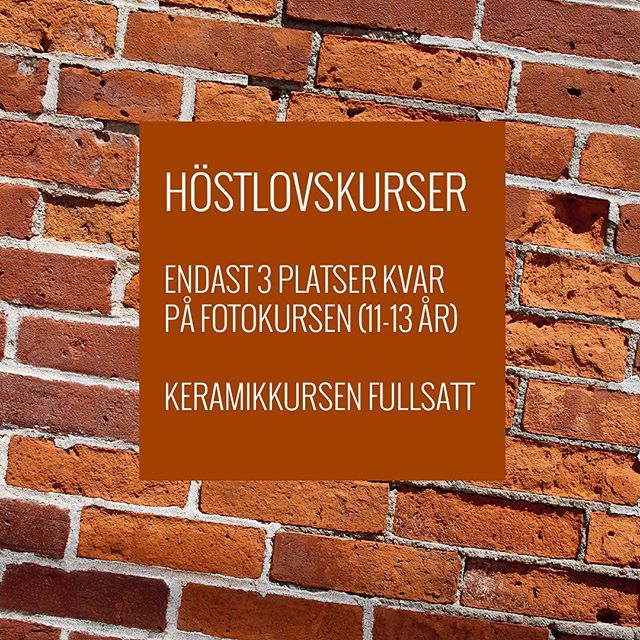 instagrambild